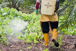 keys for overall Prevention of Pest and Diseases on your oil palm farm