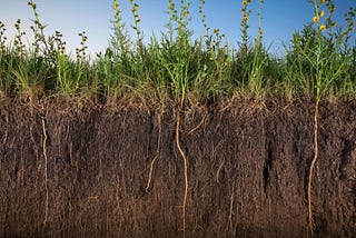 Addressing Climate Change through Soil Carbon: What is needed to align incentives?