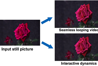 Generative Image Dynamics Summary