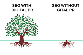 SEO & Digital PR