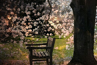 Blossom Bench, Portland, Oregon