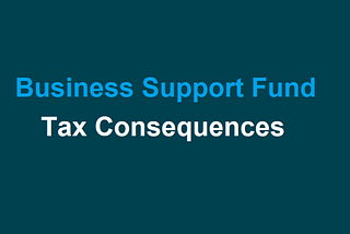 BUSINESS SUPPORT FUND — TAX CONSEQUENCES