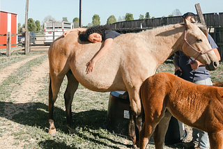 Woman laying on horse’s back with a foal nearby. A man was holding the horse’s lead rope while she stood on the trough to lean over the horse.