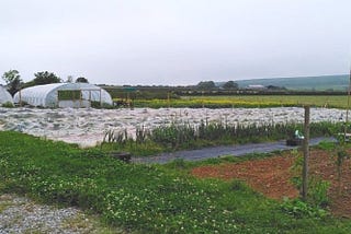 Local food systems are the foundation of a wellbeing ecomomy