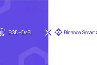 BSD-DeFI’s Multichain Future !!