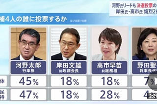 誰決定日本新首相？認識自民黨的「決定少數」