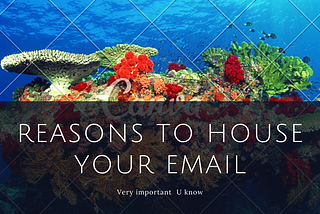 REASONS TO HOUSE YOUR OWN EMAIL MARKETING SYSTEM.