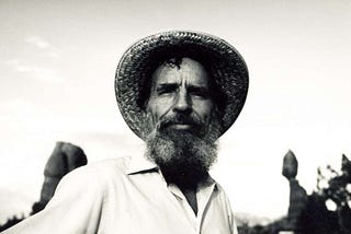 Edward Abbey and the Ideology of the Cancer Cell