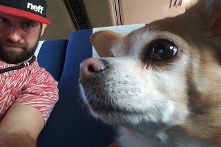Google Photos is my Most Valuable Tool for Digital Storytelling