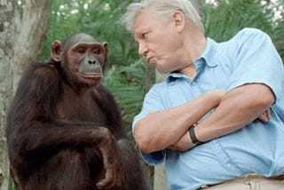 Embracing Earth Stewardship: Honoring Sir David Attenborough’s Legacy