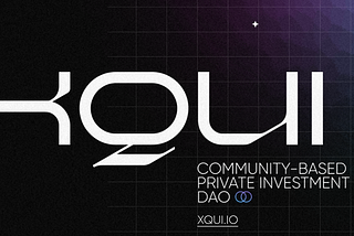 XQUI (Exquisite) Community-Based Private Investment DAO | What-To-Know