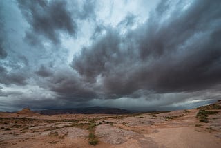 Rain, Dogs and the High Desert