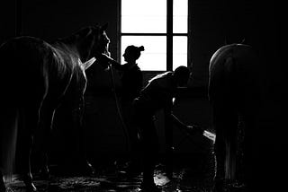 The Royal Horse Show