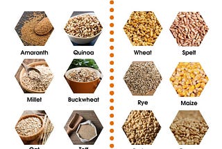 Should You Consume Grains? Is it Killing You?!