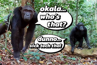 okala — an introduction to our mission
