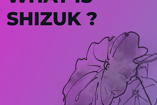 What is Shizuk?