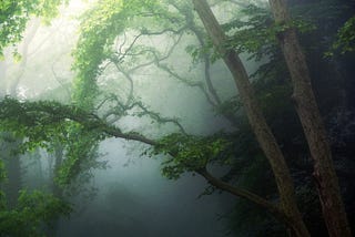 Marketing’s New Frontier in 2024