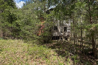 Deep in The Woods