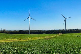 Sustentabilidad Ambiental en Parques Eólicos: Mito y Realidad.