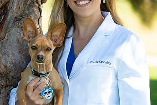 Go mobile with ZumiVet: San Diego vet hits the road to bring pet owners quality pet care