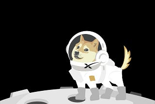 DogeXSpace ($DOGEX)