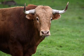 Taurus 2021 Horoscope