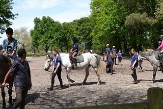 Fermeture du Poney club de Martignas sur Jalle