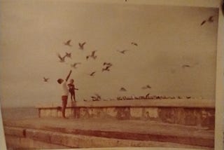 Tall teen boy & 4-year-old girl feeding a flock of gulls