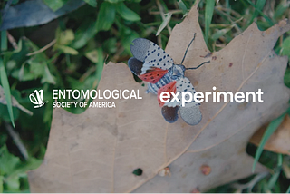 Entomological Society of America Challenge launches to support the study of invasive species