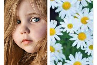 Innocence like Daisies: Beauty & Biology