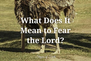 What Does It Mean to Fear the Lord?