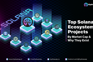 Top Solana Ecosystem Projects By Market Cap & Why They Exist