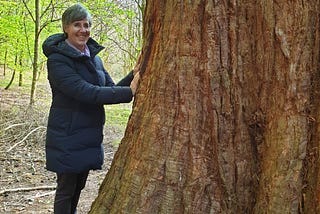 Five Messages from a Giant Sequoia