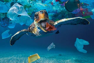 Microplastics in the Ocean