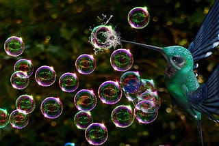 Bubbles Everywhere