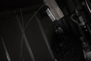 Life in a basement
