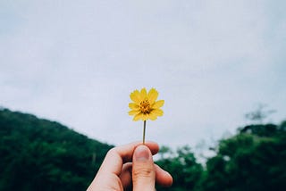 Stop Chasing Happiness & Do This Instead