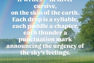 “The Language of Rain” ☔✨