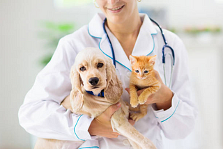 Article 4: Online Pharmacies and Pet Medications