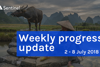 📝 Weekly Progress Update — 2 to 8 July 2018