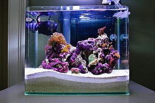 Aquarium Acrylic Buka 24 Jam Hari Minggu Tetap Buka Minat Hubungi Aditya Via WA 089619395080