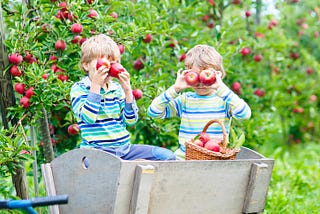 Mind the gap: Dawn Harper’s top tips on children’s nutrition