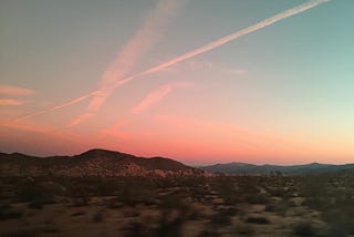 Sunset in Joshua Tree