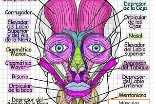 MASAJE FACIAL PENETRACION P.ACT