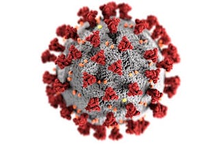 COVID-19 Testing Without a COVID Data Commons is Throwing Away Valuable Data