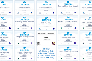 I Earned 19 Salesforce Certifications in 1 Year (365 Days, or 12 Moths)