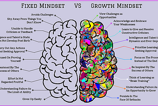 Fixed Mindset or Growth Mindset? Who are you?