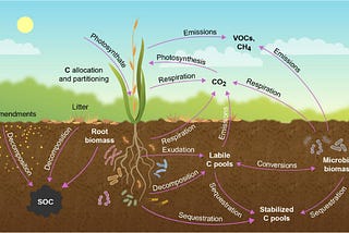 Carbon Sequestration using Remote Sensing in Agriculture