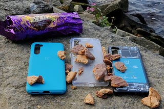 OnePlus Nord cases covered in V.I.B digestive biscuits.