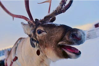 20 Ways for Festive Fun Under a Buck